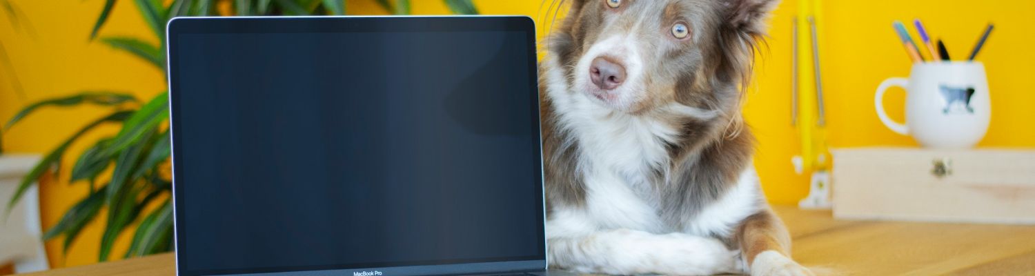 Foto: Ayla Verschueren/Unsplash